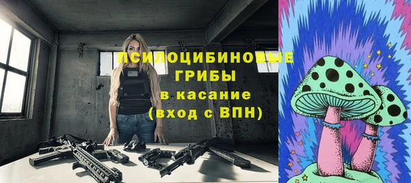spice Гусь-Хрустальный