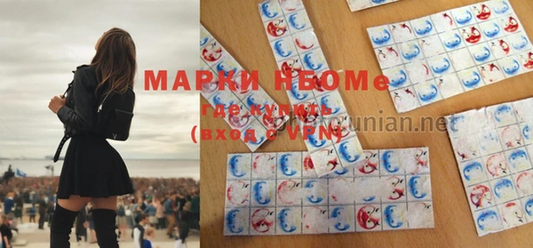 прущая мука Вяземский