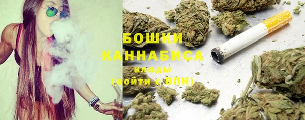 spice Гусь-Хрустальный