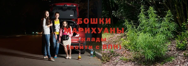 прущая мука Вяземский
