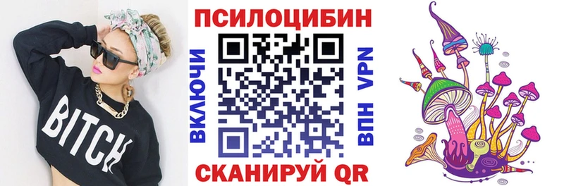 Псилоцибиновые грибы мицелий  blacksprut сайт  Дмитров 